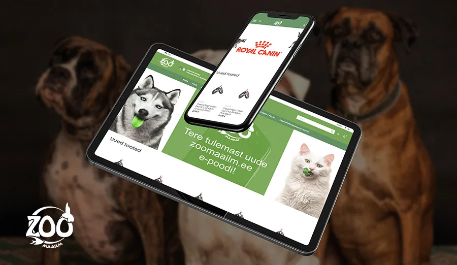 Zoomaailm portfoolio pilt