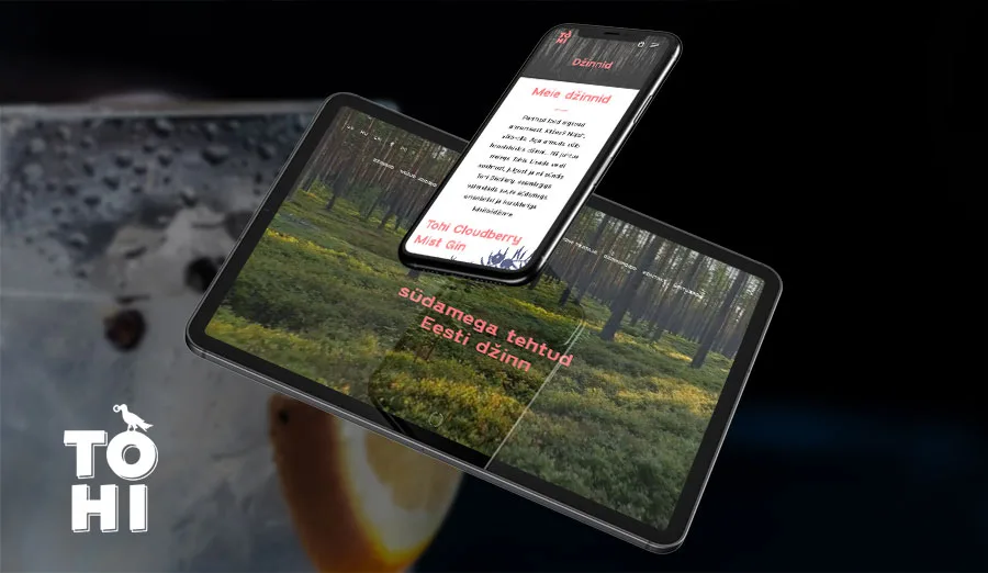 TOHI Gin potfoolio pilt